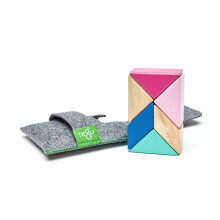 Bordspel kinderen - Tegu Classic Pocket 6 Stukken - Bloei - Magnetisch hout
