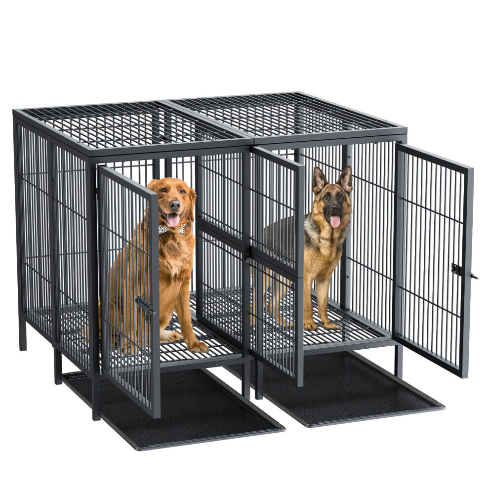 Bingopaw Heavy Duty Dog Cage With Removable Divider Double Crate For 2 Dogs Black
