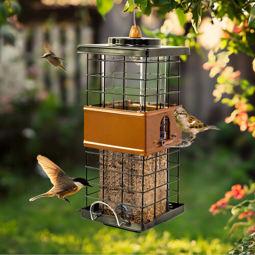 Bingopaw Hängende Wildvogelfütterung mit Sitzstangen für den Außenbereich Eichhörnchensicher
