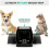 Large Dual Entry Pet Friendly Rat and Mouse Trap Instant Indoor Kill 6