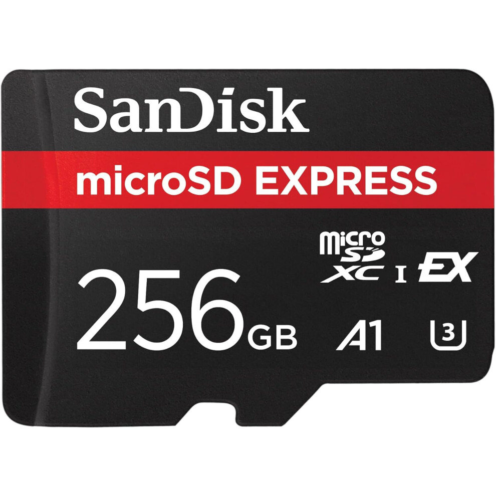 Sandisk microSDHC Express Card (256GB, SDSQXFN-256G-GN4NN)