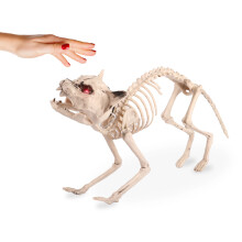 Katze Tier Skelett Halloween Party Horror Dekoration Prop mit Sound