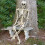170cm Giant Life Size Human Skeleton Model Horror Bone Posable Halloween Decor 1