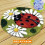 45*45cm Ladybug Rug-Making DIY Embroidery Latch Hook Kit Needle Craft 1