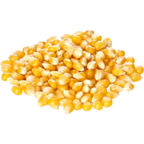 Old India Popping Corn 5Kg 2