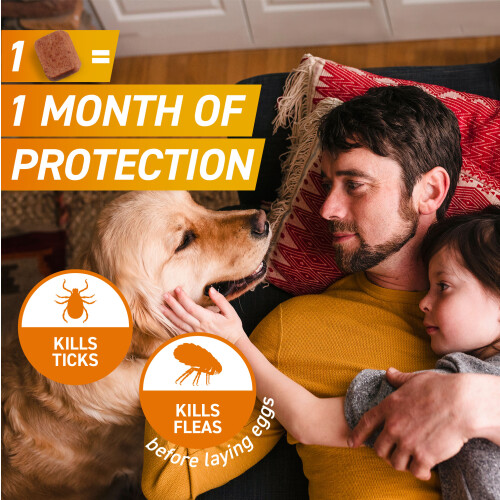 (Extra Large Dog (25-50kg)) FRONTPRO Chewable Tablets Flea and Tick Treatment 2