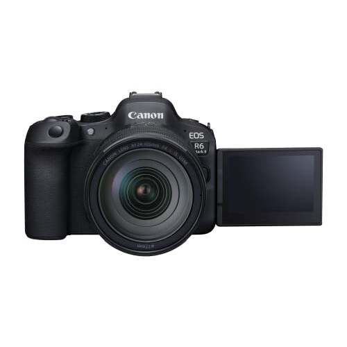Canon Canon EOS R6 Mark II - korpus