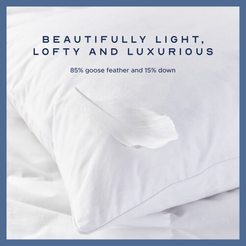 Snuggledown (2 Pack) Snuggledown Goose Feather & Down Pillow UK Made 2