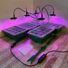 Plant Propagator Seed Tray Set w Full Spectrum USB Grow Lights (5Pack)