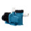 Deep Blue Pro Swimming Pool Pump 1.5HP 220V/50Hz with Efficient Design 5
