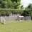 VidaXL vidaXL Free Range Animal Enclosure 24-Panel 21.3x31.5 Galvanized Iron 1