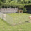VidaXL vidaXL Free Range Animal Enclosure 48-Panel 21.3x23.6 Galvanized Iron 1