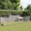VidaXL vidaXL Free Range Animal Enclosure 24-Panel 21.3x39.4 Galvanized Iron 1