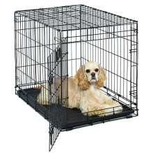 Medium Dog Crate | MidWest Life Stages 30 Folding Metal Divider Panel Floor Protecting Feet Plastic Tray 30L x 19W 21H Inches Breed
