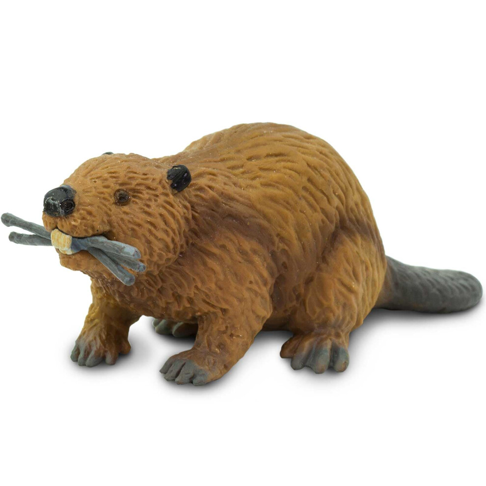 Safari Ltd. Beaver Figurine - Detailed 4 Plastic Model Figure - Fun Educational Play Toy For Boys Girls & Kids Ages 3+