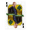 Albino Dragon Breaking Bad klassiske gr?nne spillekort 2
