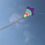 Neon Arch 27 """" Diamond Kite 2