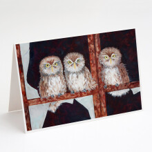 Balenie 8 pohladn   c a ob   lok Owls od Ferris Hotard