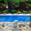 (48, Repeating) Repeating Double Aquascape Background 1