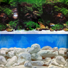 (60, Repeating) Repeating Double Aquascape Background