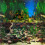 (24) Aquarama / Shalescape Repeating Backgrounds 1