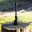 AllPondSolutions 600L/H Fountain Pond Pump FFP-600 7