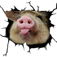 (Pig 01, One size) Funny Pig Cracked Car Sticker Car Window Meme Cattle Decal 12 X 12" Pvc Car Sticker