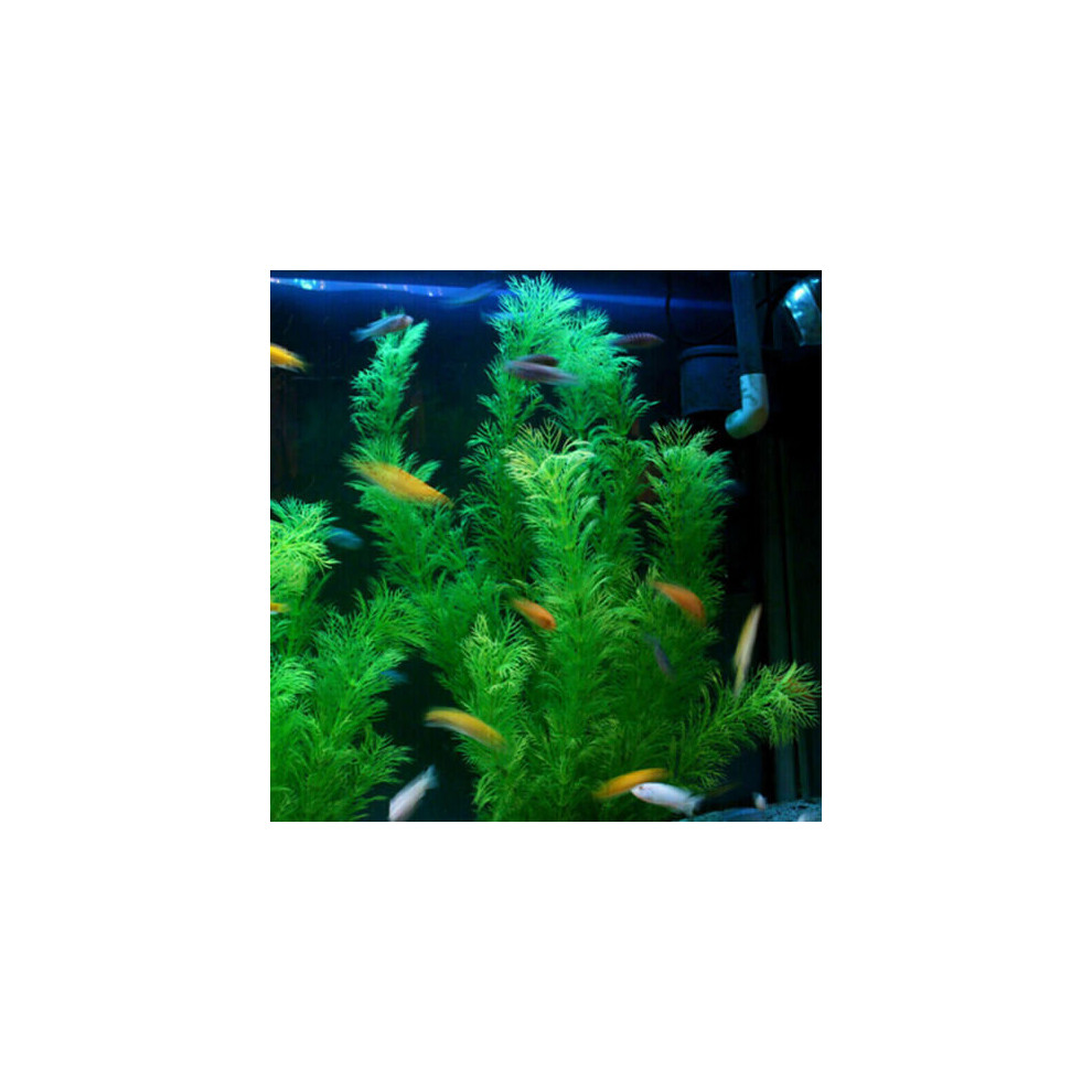 2pcs Artificial Water Grass Weed Fake Plant Aquarium Fish Tank Landscape Decor