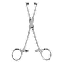 Pince à septum en acier inoxydable avec aiguille pour piercing au sourcil