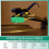ATN95E replacement stylus for AT95E 2