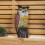 35cm Large Outdoor Plastic Owl Bird Deterrent 1