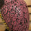 35cm Large Outdoor Plastic Owl Bird Deterrent 5
