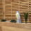 41cm Large Outdoor Plastic Falcon Bird Deterrent 2