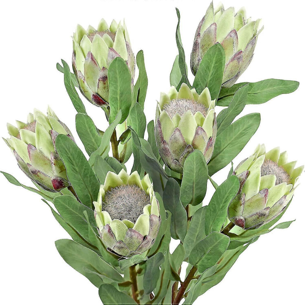 (Green, 2 PCS) King Protea Real Touch Silk Artificial Flowers 2/4/6 PCS For Wedding Bouquet Home Kitchen Tropical Flower Arrangements Decor-image-OPC-PFYB6VQ-NEW