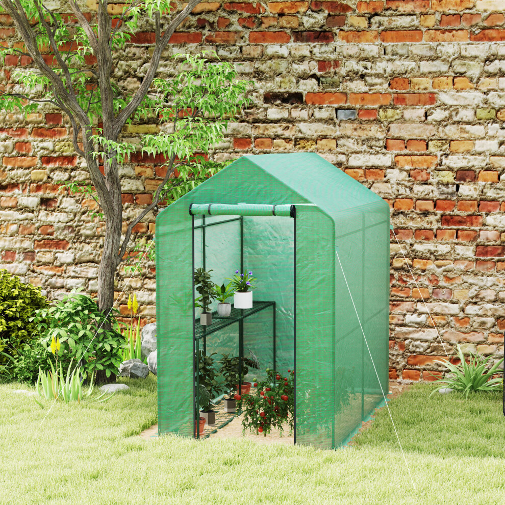 Outsunny Walk In Greenhouse W/Shelves Steeple Grow House 120 X 186 X 190 Cm