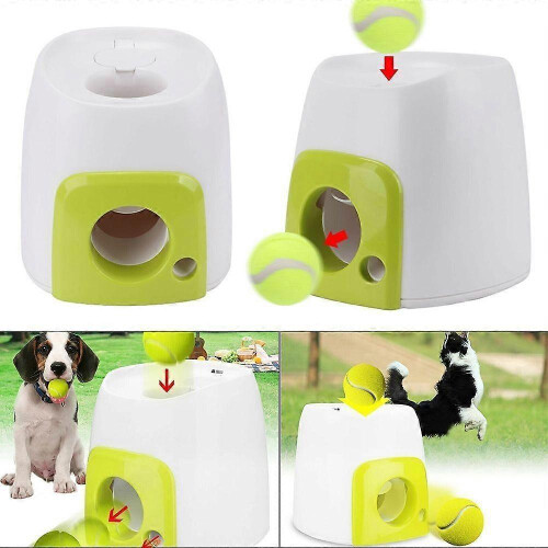 NEW Automatic ball launcher for dogs - Interactive toy for small and medium-sized dogs 2