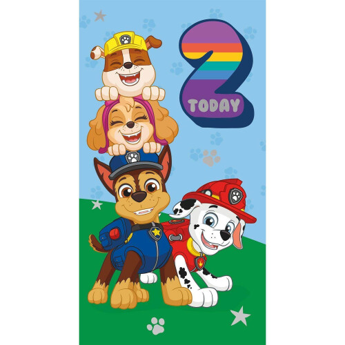Paw Patrol Paw Patrol Birthday Card Age 2