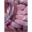 Phoenix Kingsway Mega Value Vegan Big Lips Bag 2.5kg 3