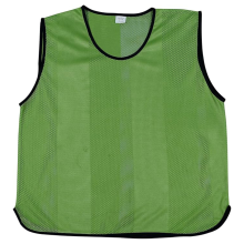 (Green, Youth ( Small, Medium & Large mens)) Training Bibs Sports Mesh Bibs Football Soccer Rugby Sports Bibs Function Party Outdoor Bibs- Pack of 10 Bibs
