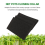 70 peças de colares clones de jardim em bloco de esponja de neoprene para vasos de rede de 2 polegadas 6
