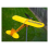 J3 Airplane Weathervane, Metal Windmill B 6