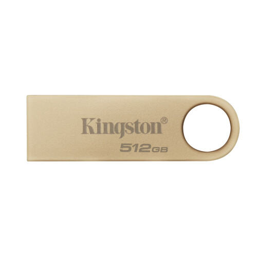 Kingston KINGSTON 512Go 220Mo/s Metaal U
