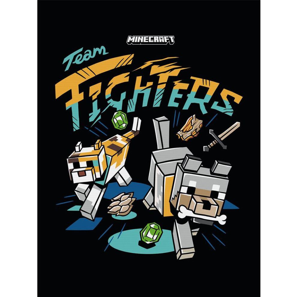 Minecraft Team Fighters Framed Canvas Print
