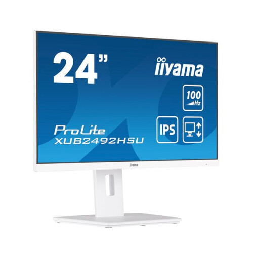 iiyama iiyama ProLite XUB2492HSU-W6