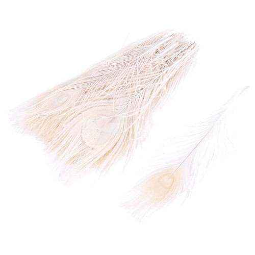100 PEÇAS/Penas Brancas Naturais nos Olhos, 10 a 12 Polegadas de Penas para Decoração de Casamento 1