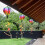 4PCS Balloon Wind Spinner Striped Windsock Balloon Yard Decor Spiral Balloon Windmill 8