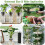 600 Pack 2 Inch Net Cups Slotted Mesh Wide Lip Filter Plant Net Pot Bucket Basket for Hydroponics 6