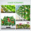 45 Pack 4 Inch Net Cups Slotted Mesh Wide Lip Filter Plant Net Pot Bucket Basket for Hydroponics 9