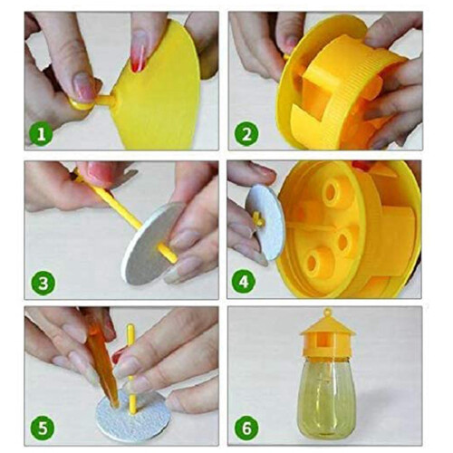 8 Pack Fly Reusable Traps, Fruit Fly Traps Fly Catcher Outdoor 2