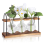 2X Plant Propagation Station with Wooden Stand,Plant Terrarium Desktop Propagation Stations,Air Planter Bulb Glass Vase 3